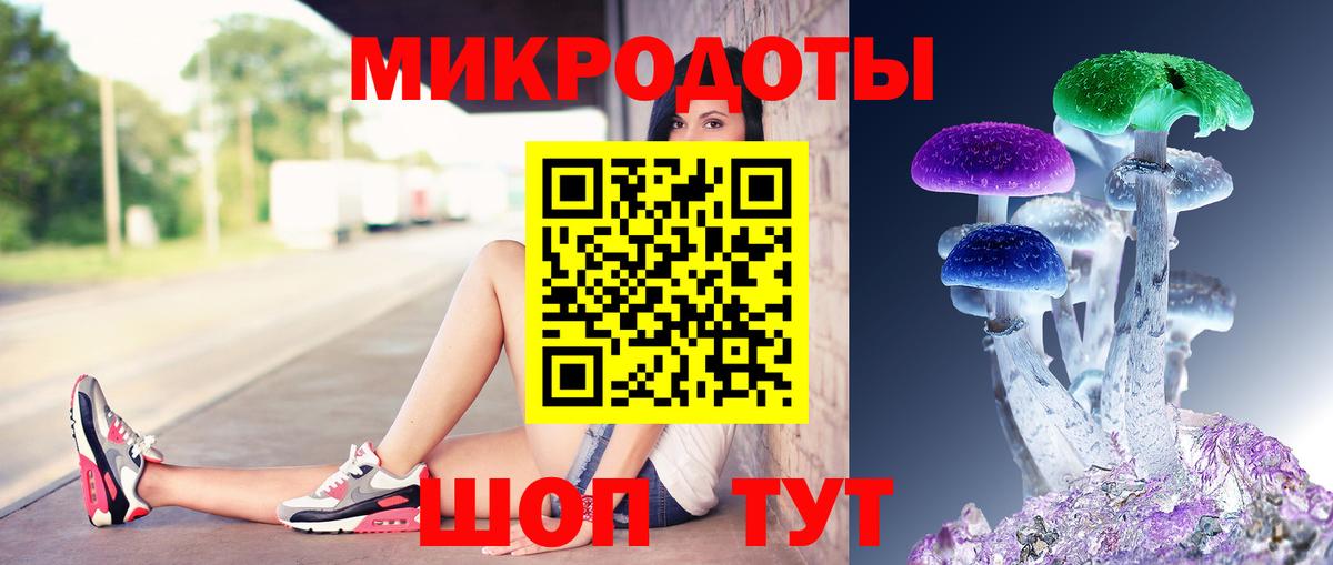 Псилоцибиновые грибы Psilocybe Лосино-Петровский