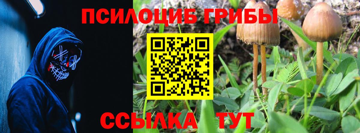 Псилоцибиновые грибы мухоморы  Вход с VPN  наркота  Лосино-Петровский  Псилоцибиновые грибы Psilocybe 
